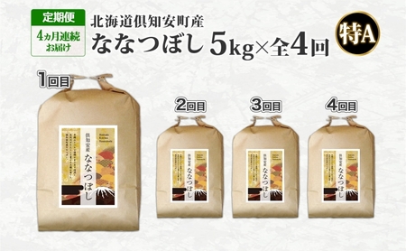 ななつぼし 倶知安町産 特A 精米 道産米 ななつぼし【5kg】【定期便全4回】
