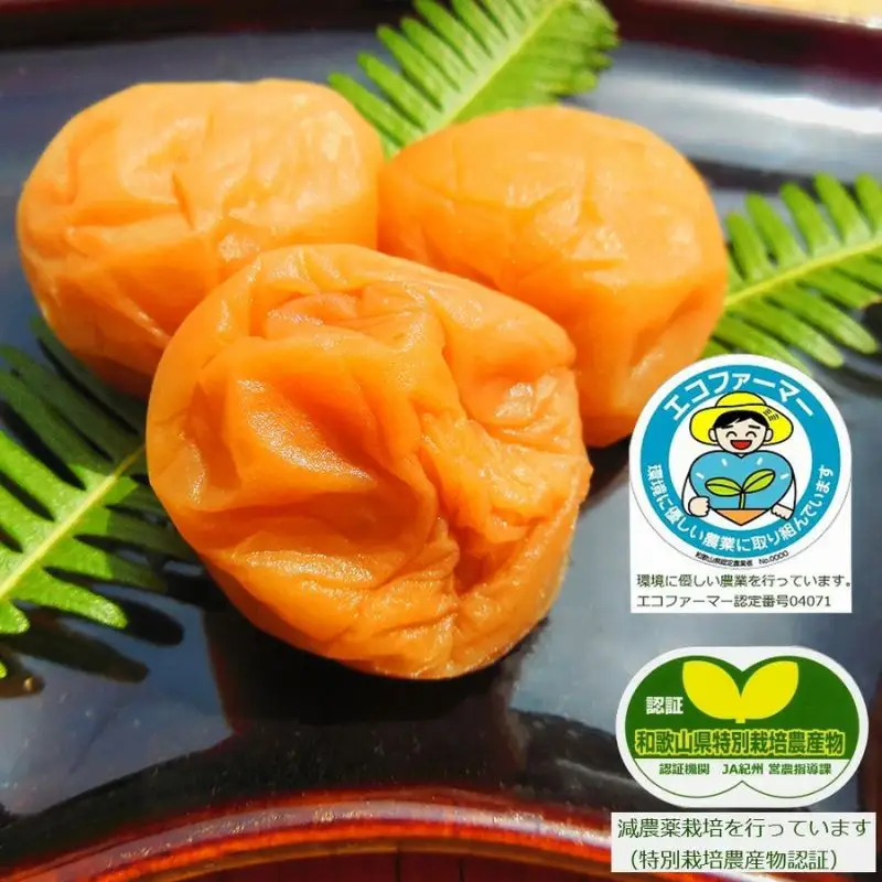 梅干し こだわり熟うま南高梅（はちみつ梅）250g×2個 塩分 約7％ sakachu003A【sakachu003A】