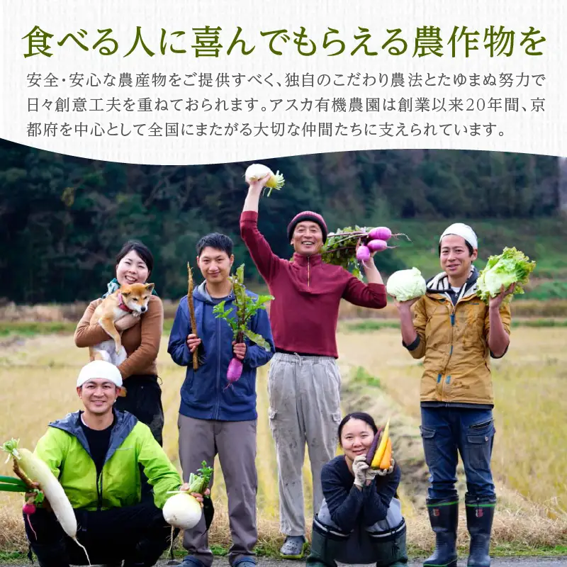 【4回定期便】アスカ有機農園｜旬の京丹後野菜セット 8～10種類