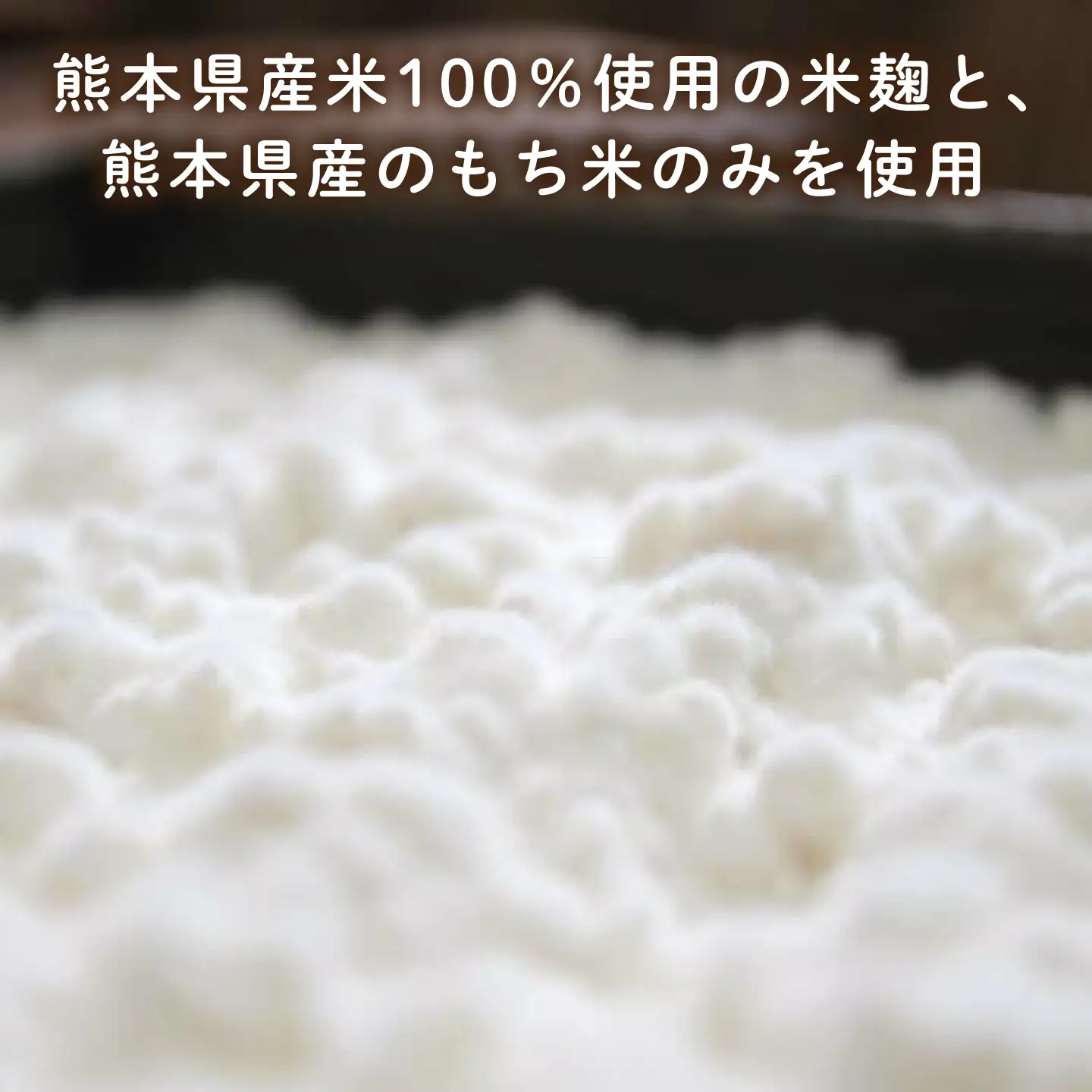 ワンワン 甘酒 犬 用  （濃縮タイプ） 便利な スタンドパック入り 170g×5【有限会社 木屋食品工業】[ZAD014]