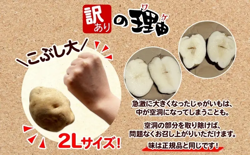 ＜2026年秋以降出荷＞ 北海道 訳あり 特別栽培 じゃがいも 男爵 2L 約17kg ジャガイモ 馬鈴薯 芋 いも イモ 旬 野菜 根菜 農作物 北海道産 国産 ホクホク 甘い 人気 お取り寄せ 産地直送 畑農場 送料無料