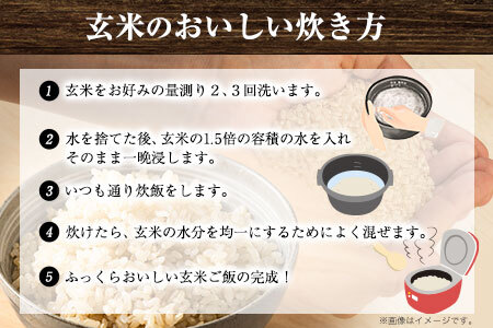  【6ヶ月定期便】新米 令和6年産 ひのひかり 玄米 5kg 熊本県 荒尾市産 つゆくさ農園 《お申込み月の翌月から出荷開始》 美味しい米 お米 熊本県産米 くまもと米 st-p