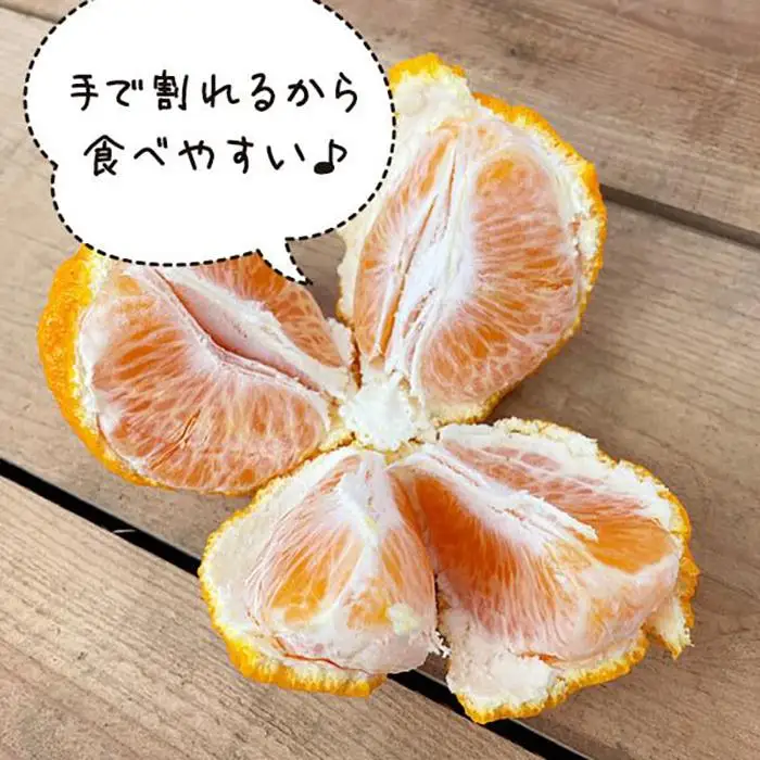 不知火 大玉 どっこいしょ 箱込 5kg (内容量約 4.4kg) 秀優混合 和歌山県産［みかんの会］