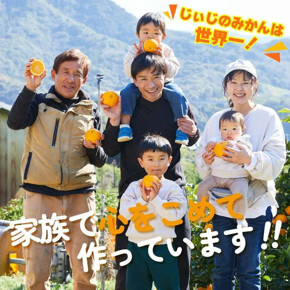 和歌山県有田みかん じぃじのみかん 約10kg