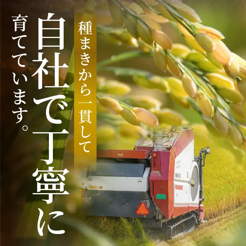 ≪都農町産≫新米コシヒカリ(5kg) 米 お米 ご飯 国産_T031-0015