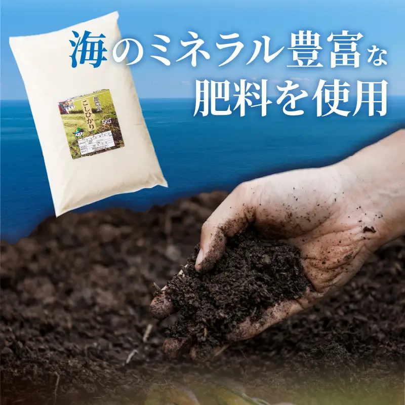 ≪都農町産≫新米コシヒカリ(計10kg) 米 お米 ご飯 国産_T031-0025【人気 ご飯 お米 ギフト 産米 お米 食品 お米 精米 白米 新米 こしひかり 有洗米 米飯 こめ 米 飯米 ライス 米 ごはん おにぎり おむすび 米 お漬物  お弁当 特産品 お米 米穀 地域の品 お米 ライス 米 宮崎県産 お米 都農町 お米  令和8年産 お米】