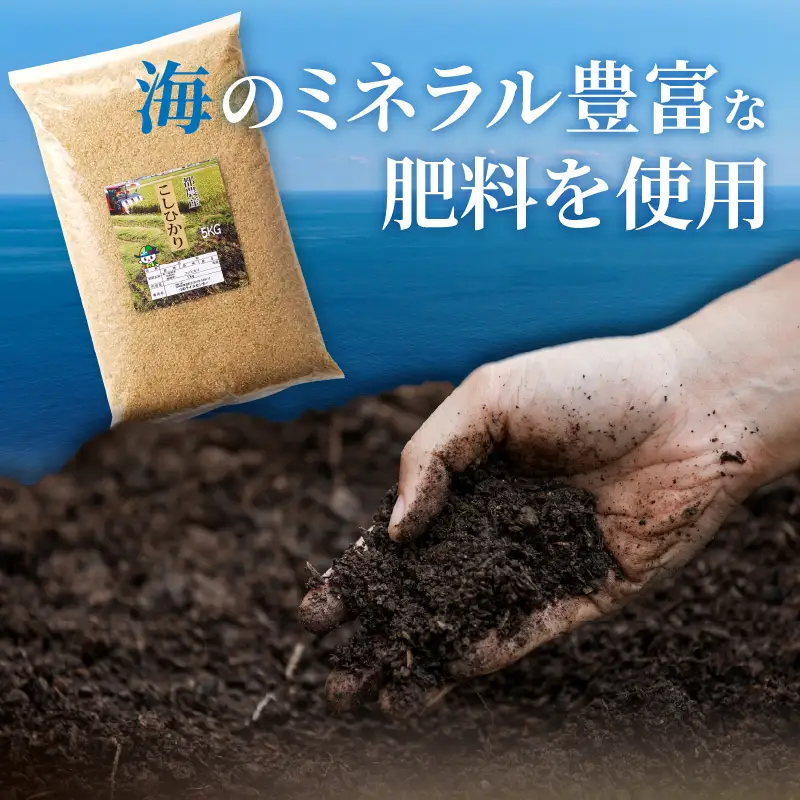 ≪都農町産≫新米コシヒカリ(玄米)5kg 米 お米 ご飯 国産_T031-0035