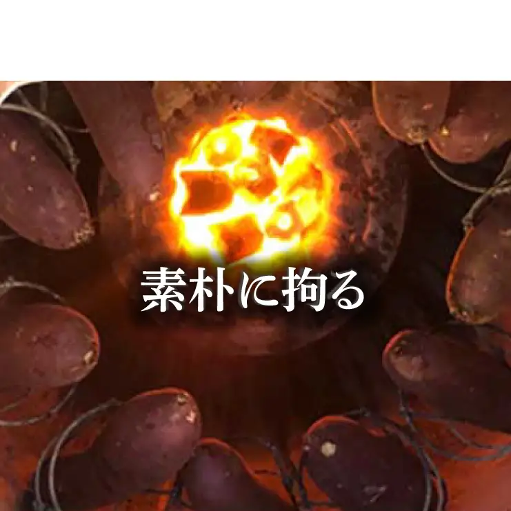 FO-1　★数量限定★【つぼ焼いも岐阜総本舗幸神】冷凍つぼ焼いも　紅優甘（べにゆうか）約1kg