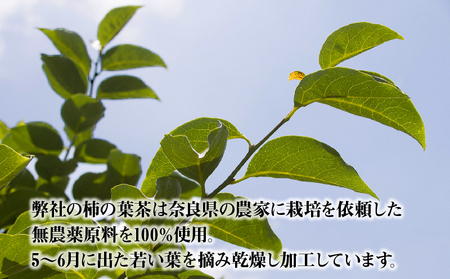 奈良県産柿の葉茶 柿の葉茶 40g × 3袋 国産 健康 健康茶 安心 安全 奈良のうまいもの 茶の術 和ハーブ ハーブ ノンカフェイン ビタミンC 健康志向 飲料 ホット 素朴 飲みやすい 奈良県産 お茶 送料無料