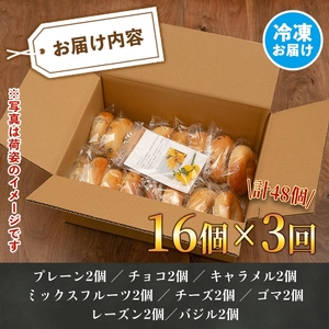 isa247 【定期便・全3回(3ヶ月連続)】ベーグル(総計48個・16個＜8種各2個＞×3回)パン 国産 焼きたて 急速冷凍 ベーグル プレーン レーズン チョコ キャラメル ごま チーズ ミックスフルーツ 8種 セット 詰合せ【工房あけぼの】