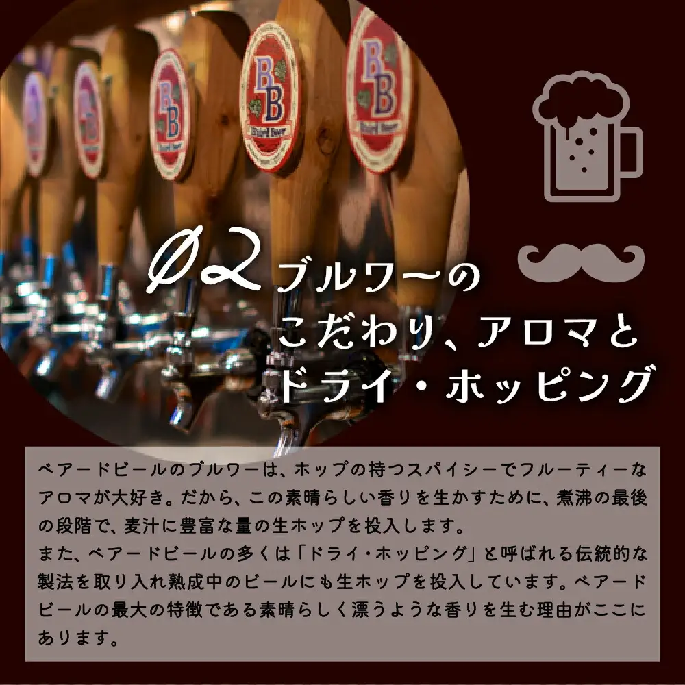 地ビール ベアードビール 定番全12種飲み比べセット 地ビール 