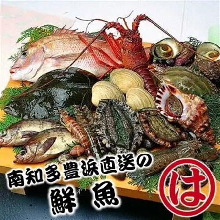 まるは食堂 三河安城店　お食事券 15,000円分【1464333】