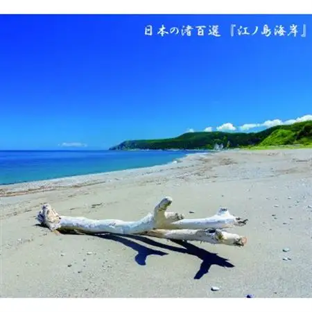 【北海道島牧村】ほっけ浜風一夜干し3枚セット　日本海・モッタ岬沖の厳選品　脂乗り抜群!【配送不可地域：離島】【1314787】