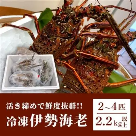 枕崎港水揚げ!　活〆冷凍 【伊勢海老】 2～4匹 計約2.2kg E0-14_魚介・海産物 伊勢海老 エビ いせえび 伊勢エビ_【配送不可地域：離島】【1470872】