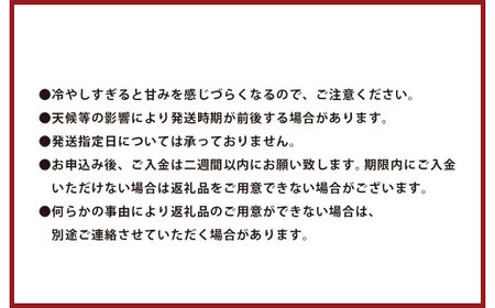 ＜ R8年熊本地震復興支援 ＞【上村農園】 小玉すいか 2.3kg2玉 ひとりじめ 【2027年6月上旬～6月下旬迄順次発送予定】 春スイカ 植木 スイカ 西瓜