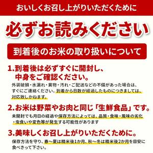 【定期便 隔月配送 全6回】山形県産 はえぬき 精米 5kg×1袋×6回(計30kg) F3S-1891