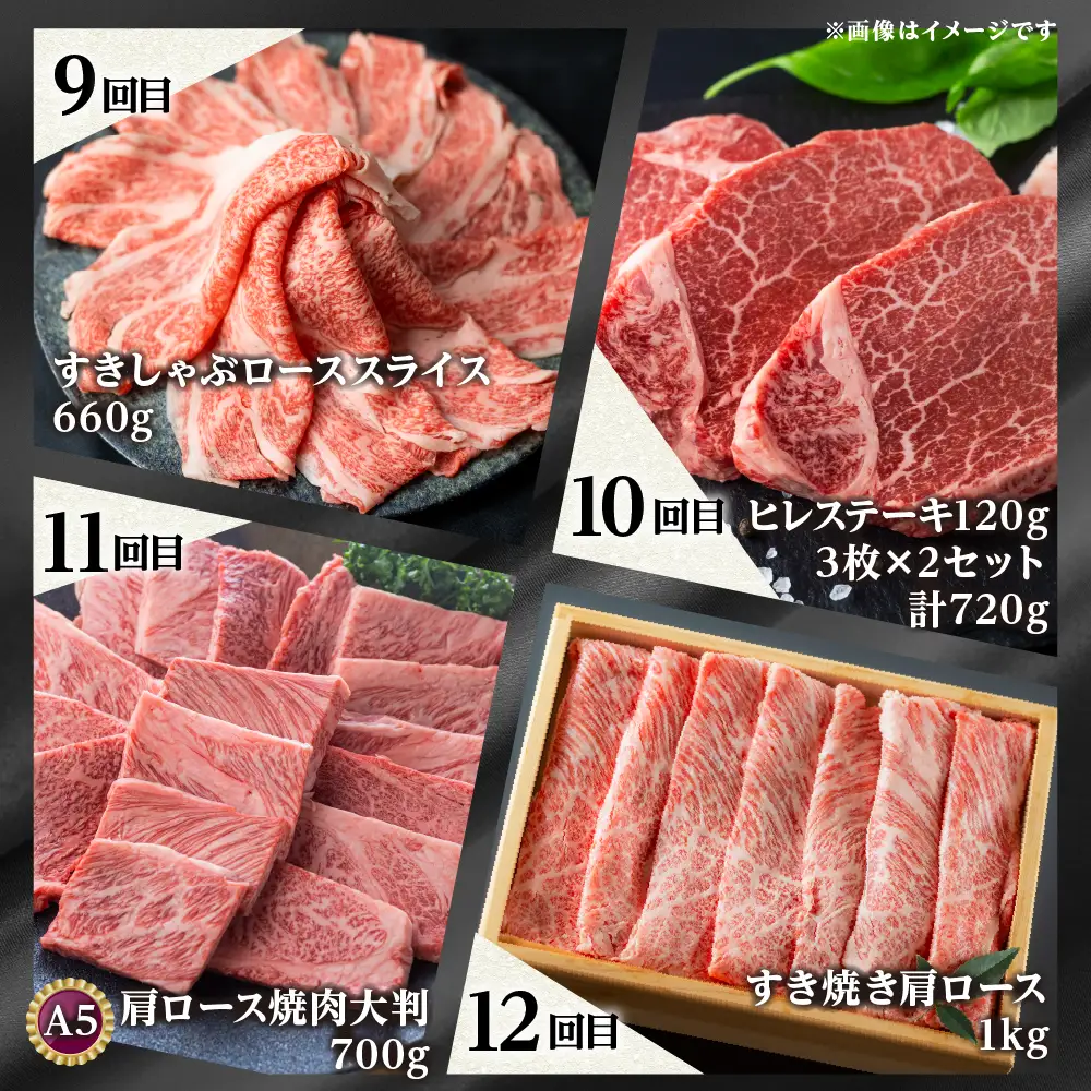 大容量 《まるごと定期便》12回 飛騨牛三昧 大容量 [S600]