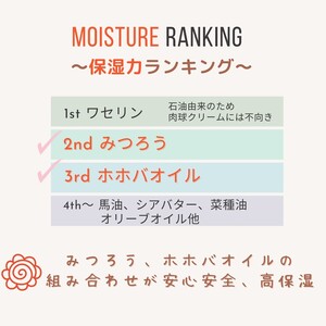 【ペット専用】みつろう肉球リップクリーム3本セット《 ペットグッズ 犬 ケア 国産みつろう100% スティッククタイプ オーガニック ホホバオイル 》【2400N13311】