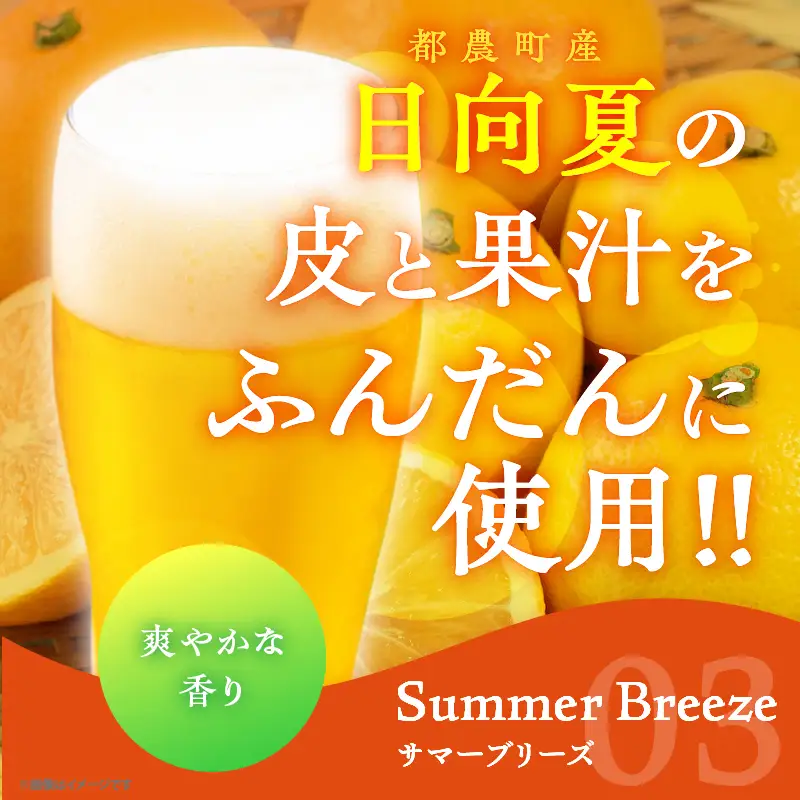 【2週間以内発送】都農クラフトビール詰め合わせ6本セット 酒 アルコール 飲料 国産_T016-0035