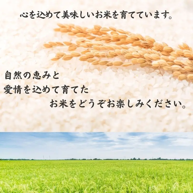 新米 新之助 【令和8年産 新米】 5kg×1袋 しんのすけ 艶コクと甘みあふれる米 農家直送 大山農場 糸魚川産 新潟県産 お弁当 おにぎり 白米