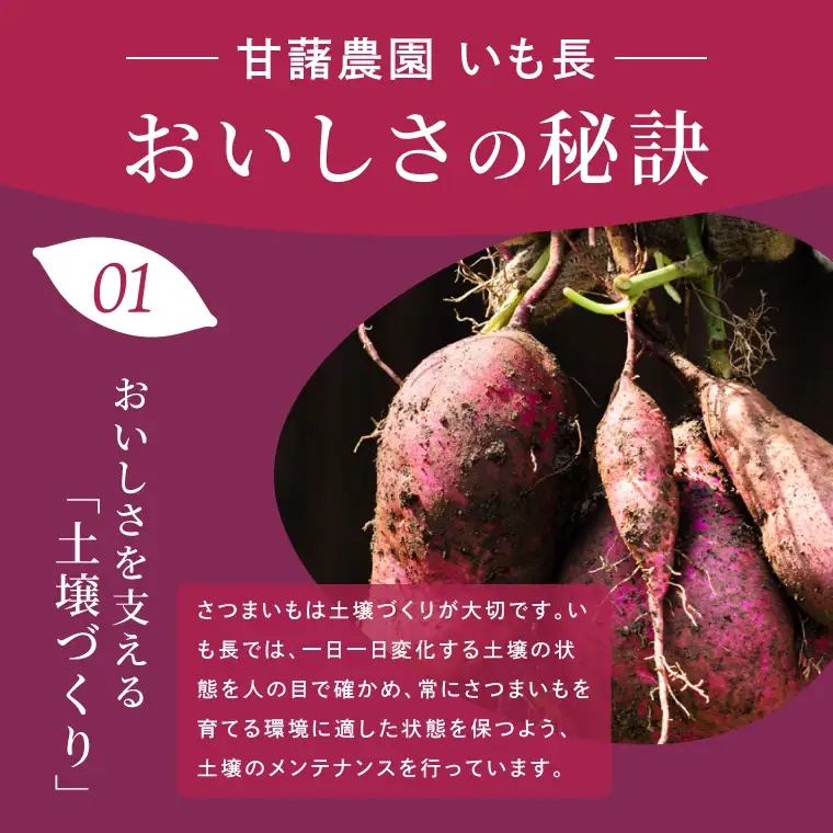 さつまいも 紅はるか 芋 生芋 20kg 2箱 S～L サイズ混合 茨城 産地直送 国産 無添加 さつま芋 べにはるか（56-07）