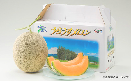 レッドメロン 5～6玉 （1玉 約1.6kg） 果物 フルーツ メロン めろん 赤