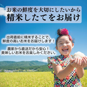 【令和7年産】 米 定期便 10kg×12回 こしひかり 米 AS001