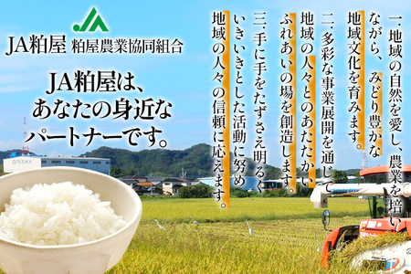 令和6年度産 福岡県産 夢つくし 5kg 1袋 白米 お米 ご飯 米 精米 送料無料 お取り寄せグルメ お取り寄せ 福岡 お土産 九州 福岡土産 取り寄せ グルメ 福岡県