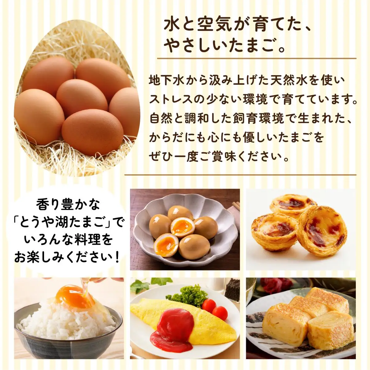 [5525-0920]【6ヵ月 定期便】 北海道 伊達市 とうや湖 卵  40個 入り たまご