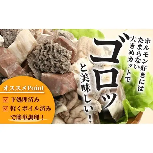 石垣島産 黒毛和牛 新里牛 ホルモンミックス(500g×２) 合計1kg SZ-23