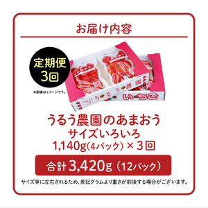 【定期便 3回】うるう農園の特別栽培あまおう サイズ色々4パック1140g×3回 _定期便 あまおう いちご 4パック 1140g × 3回 福岡県特産 小玉 特大 サイズ サイズ色々 国産 ストロべリー 果物 フルーツ スイーツ おやつ 冷蔵 特別栽培 有機質肥料 認証 うるう農園 久留米市 お取り寄せ 送料無料 〔Tk006〕