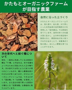にんにく 10kg かたもとオーガニックファーム ニンニク