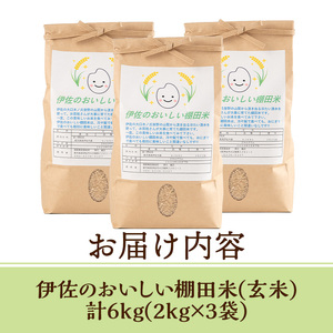 isa533 令和5年産 伊佐のおいしい棚田米〈玄米〉 ヒノヒカリ(計6kg・2kg×3袋) 国産 玄米 伊佐米 お米 米 ごはん ご飯 ひのひかり【薩摩美食倶楽部】