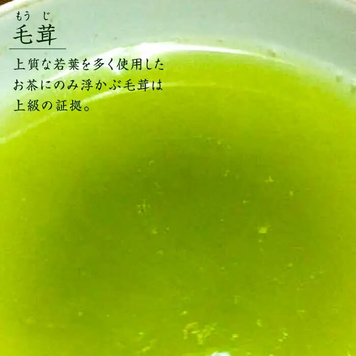 【全3回定期便】奥八女星野村 八女茶 伝統本玉露[50g]×1袋 [ABDF112]