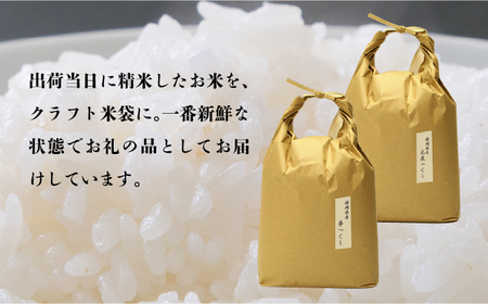 【全3回定期便】福岡県産【特A米】元気つくし【A米】夢つくしの食べ比べ 各5kg×2袋 [10kg] [白米] [ABDF124]