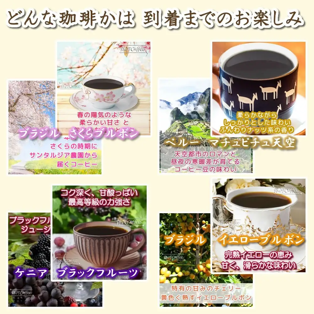 【12203-0106】定期便6回 世界一周 高級珈琲（豆のまま） 銀河コーヒー 