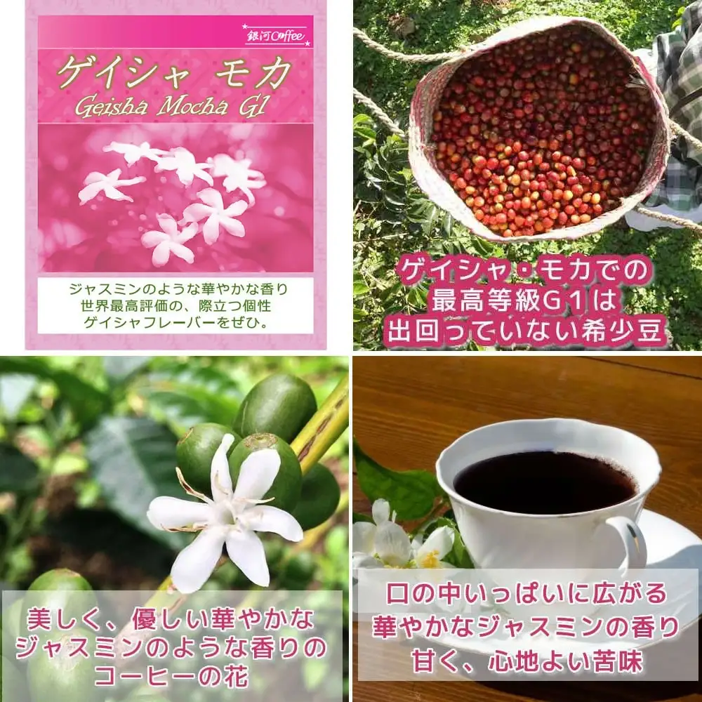 【12203-0103】生涯で飲みたい 世界３大珈琲(豆のまま)100g×3種 銀河コーヒー 