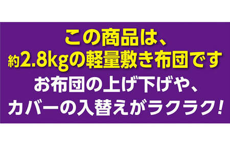 敷き布団 シングルサイズ （KIK0036） 壱岐市 くじめ屋 JFU008 FN-Limited-SP