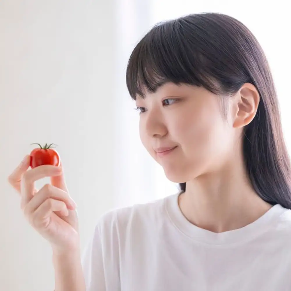 【先行予約】（2026年12月～順次発送予定）鈴鹿山麓トマト 中玉トマト「レッドオーレ」箱詰め（1.8kg入り）【トマト ミニトマト 採れたて 自然 栽培 水耕栽培 野菜 甘い あまい おいしい 美味しい 三重県 四日市市 ふるさと納税】