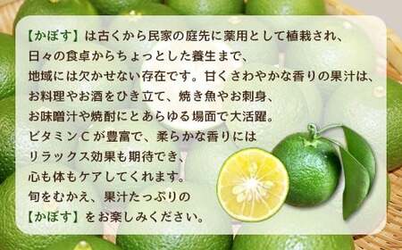 【2026年9月上旬-10月上旬発送予定】 さわやかな果汁たっぷり 竹田かぼす♪ 4kg 50玉前後（露地）