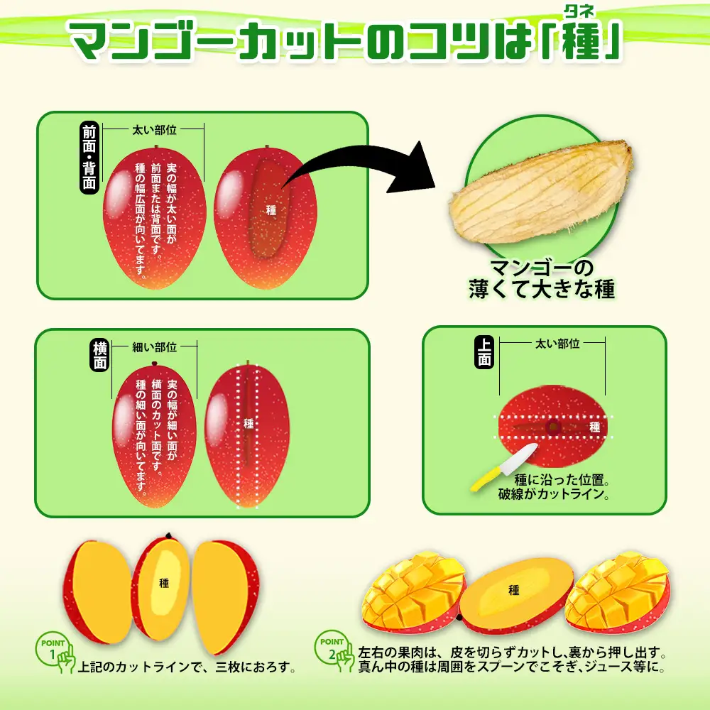 【2027年発送】平田果樹園のアップルマンゴー家庭用 約2kg（3玉～7玉）