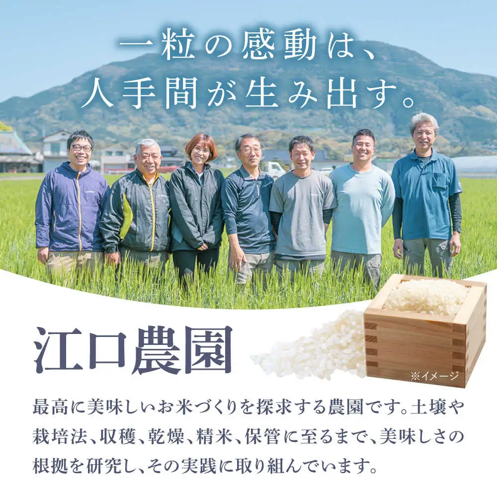 夢しずく 特別栽培米 10kg /江口農園[UBF013] 白米 特別栽培