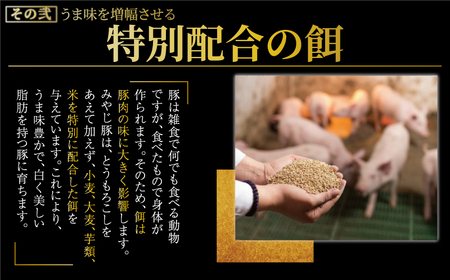 ブランド豚 しそ 餃子 20個 餃子