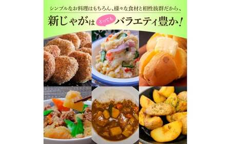 令和8年産新じゃがいも『デジマ』5kg訳あり品 