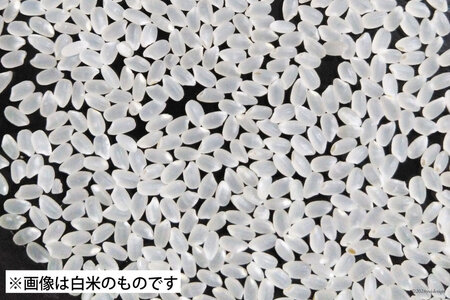 米 南三陸町産 ひとめぼれ めぐりん米 玄米 10kg