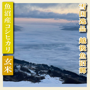 令和7年産【雪国逸品 玄米2Kg】越後魚沼郷 魚沼産コシヒカリ お米 ブランド米 銘柄米 ご飯 おにぎり お弁当 和食 産地直送 香り つや 粘り 