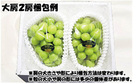 岡山県産 シャインマスカット 晴王 秀品 大房2房【シャインマスカット】