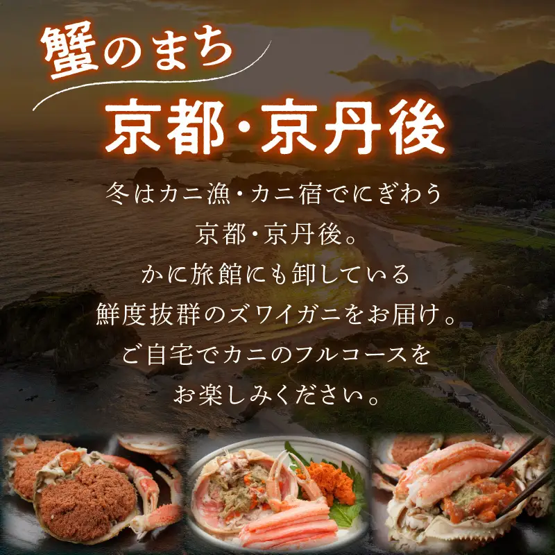 【期間エリア限定！】厳選！絶品！ 急速冷凍 釜茹で セイコ蟹5杯 蟹