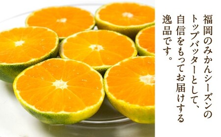 福岡県産 早味かん 約4kg以上 （40玉～50玉入り）  M・Sサイズ 【2026年9月下旬～10月下旬発送予定】 みかん 早生みかん ミカン 果物 くだもの フルーツ