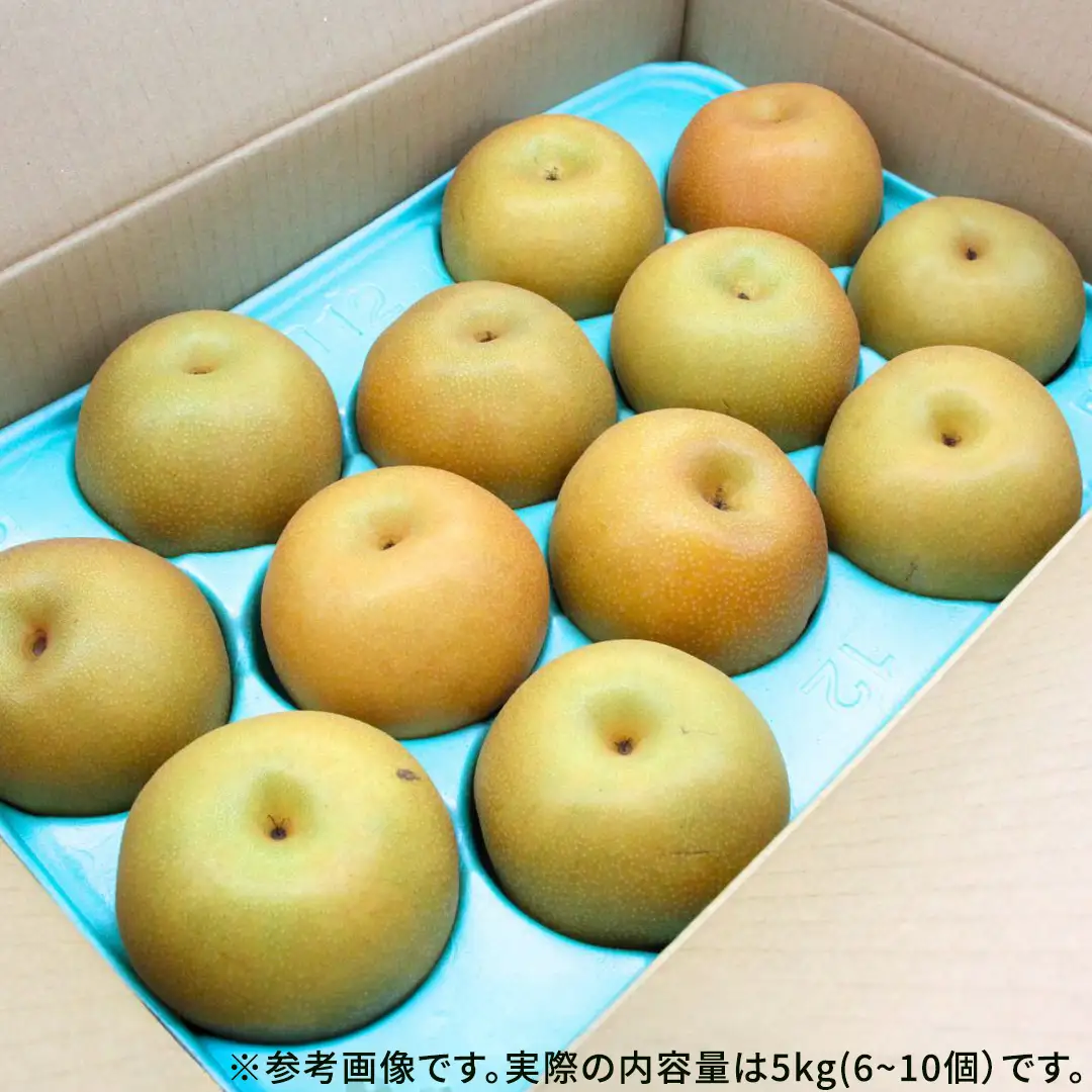 【2026年9月下旬から発送開始】《先行予約》《秀品》 にっこり梨 5kg 6玉 ～ 10玉 茨城県共通返礼品／かすみがうら市 鈴木農園 産地直送 フルーツ 甘い 直送 茨城 限定 にっこり [ED001sa]